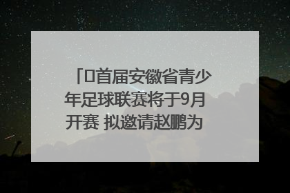 ﻿首届安徽省青少年足球联赛将于9月开赛 拟邀请赵鹏为先导赛开球